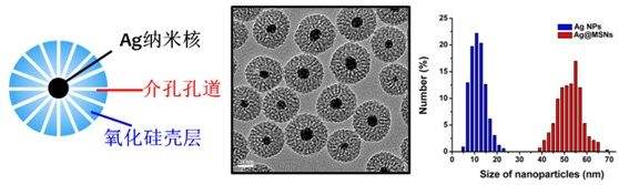 介孔組裝納米材料 介孔組裝納米材料