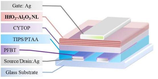 含氟聚合物和金屬氧化物層 含氟聚合物和金屬氧化物層
