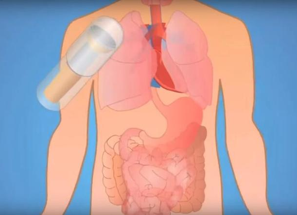 人體傳感器 人體傳感器