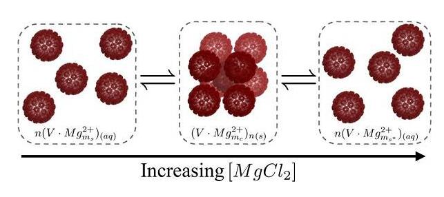 病毒納米顆粒的結(jié)晶、重入熔化和再增溶
