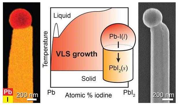 鹵化鉛納米線的自催化氣液固生長及其雜化鈣鈦礦結(jié)構(gòu)轉(zhuǎn)變 鹵化鉛納米線的自催化氣液固生長及其雜化鈣鈦礦結(jié)構(gòu)轉(zhuǎn)變