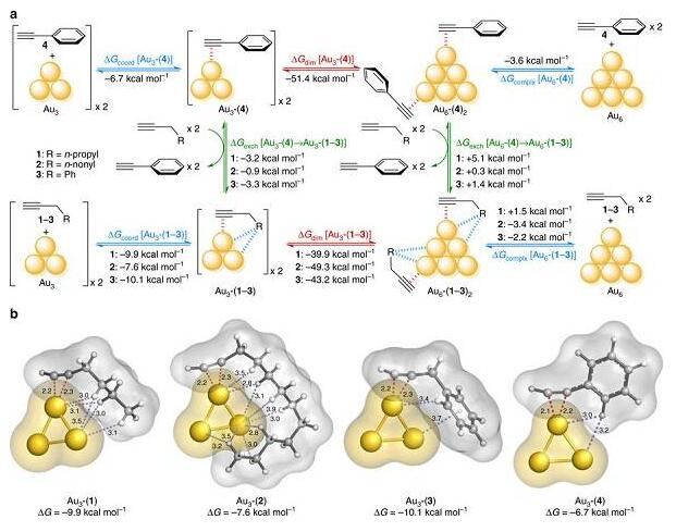 金底物相互作用在催化金亞納米團(tuán)簇中的關(guān)鍵作用 金底物相互作用在催化金亞納米團(tuán)簇中的關(guān)鍵作用