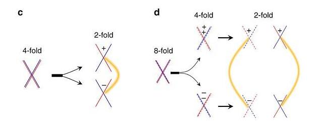 II型Weyl半金屬WP2和MoP2中的極高的磁電阻和電導(dǎo)率 II型Weyl半金屬WP2和MoP2中的極高的磁電阻和電導(dǎo)率