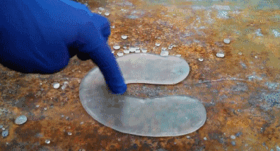 20180323111952925.jpg 6.jpg