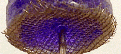 超疏水現(xiàn)象 超疏水現(xiàn)象