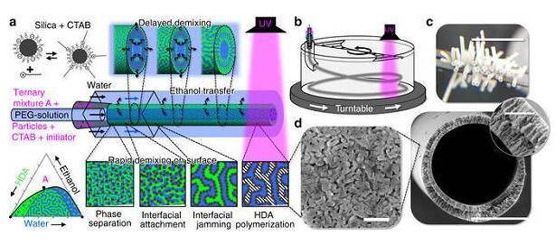 20180802142401939.jpg 多功能納米復(fù)合中空纖維膜的溶劑轉(zhuǎn)移誘導(dǎo)相分離
