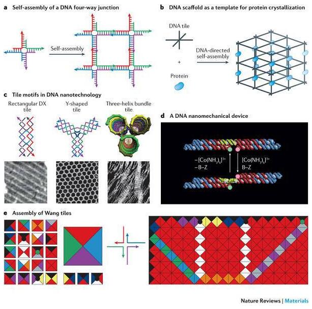 20180802142628442.jpg DNA納米技術(shù)