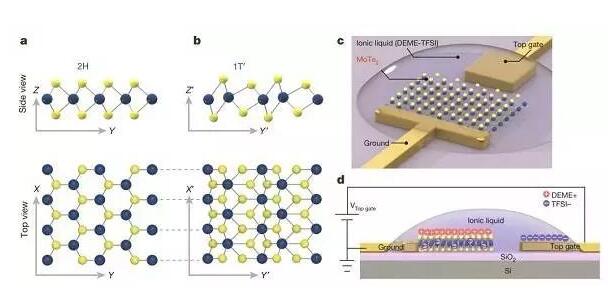 20180802143512520.jpg 靜電摻雜驅(qū)動(dòng)單層MoTe2結(jié)構(gòu)相變