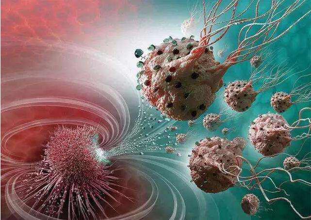 趨磁細(xì)菌具有使用稱為磁小體的小納米晶體鏈來(lái)感知微小磁場(chǎng)的非凡能力 趨磁細(xì)菌具有使用稱為磁小體的小納米晶體鏈來(lái)感知微小磁場(chǎng)的非凡能力